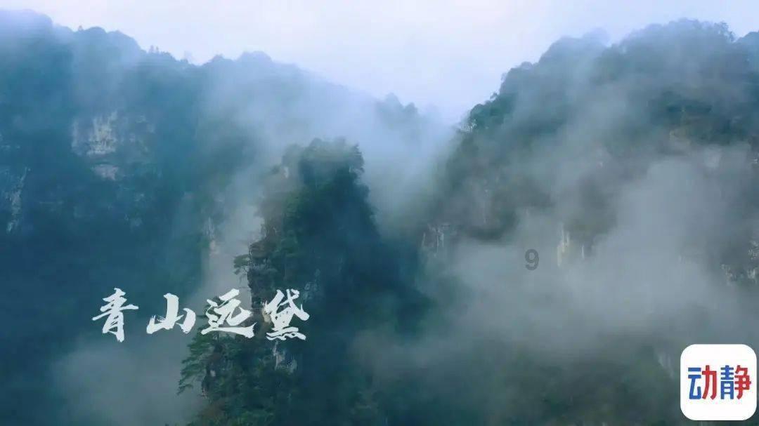 动物帮帮忙保卫家园