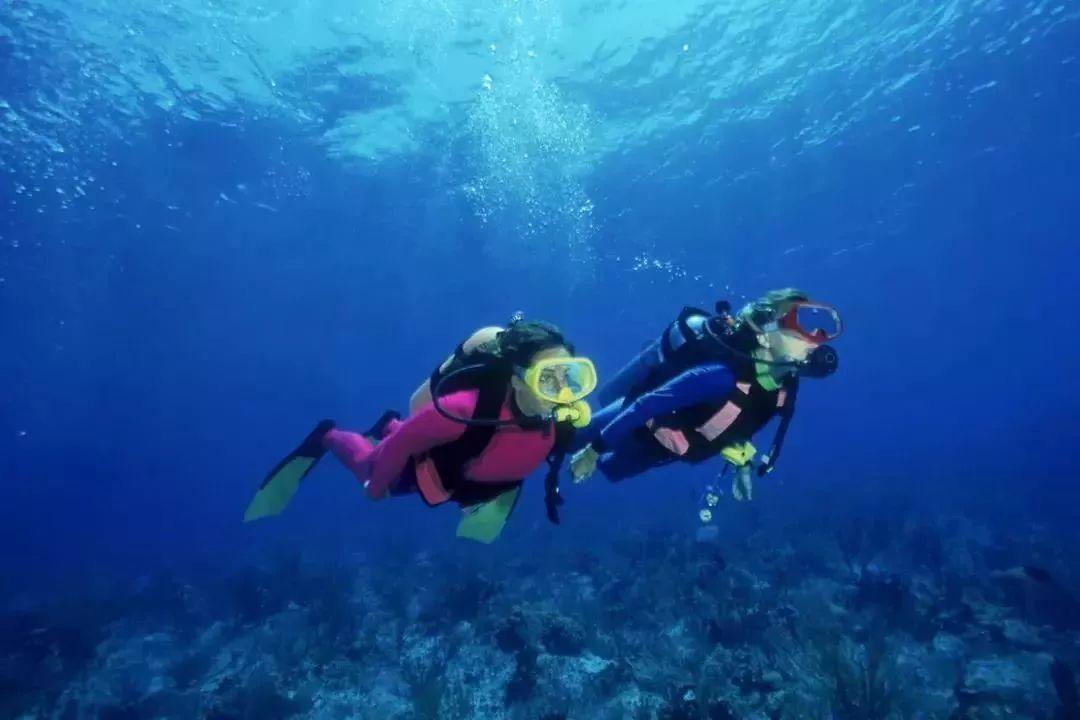 探索知识星球平台,尽享夏天怎么避暑?的精彩分享